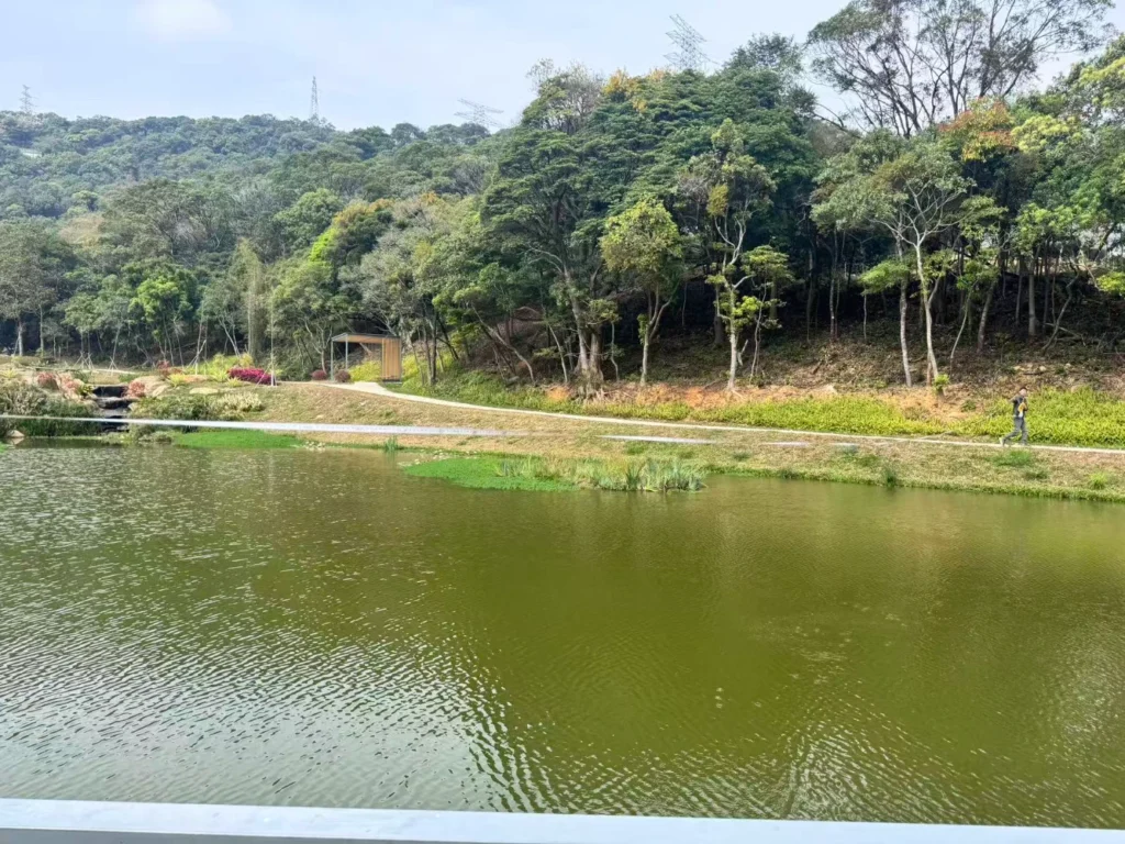 6a1302b9d4286da3c0b23a0a5e8efa1d resized