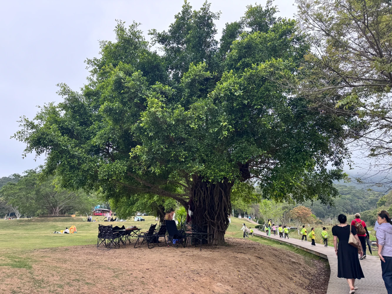 6b9c1be5b43b31e15ccb3f228c7a4751 resized